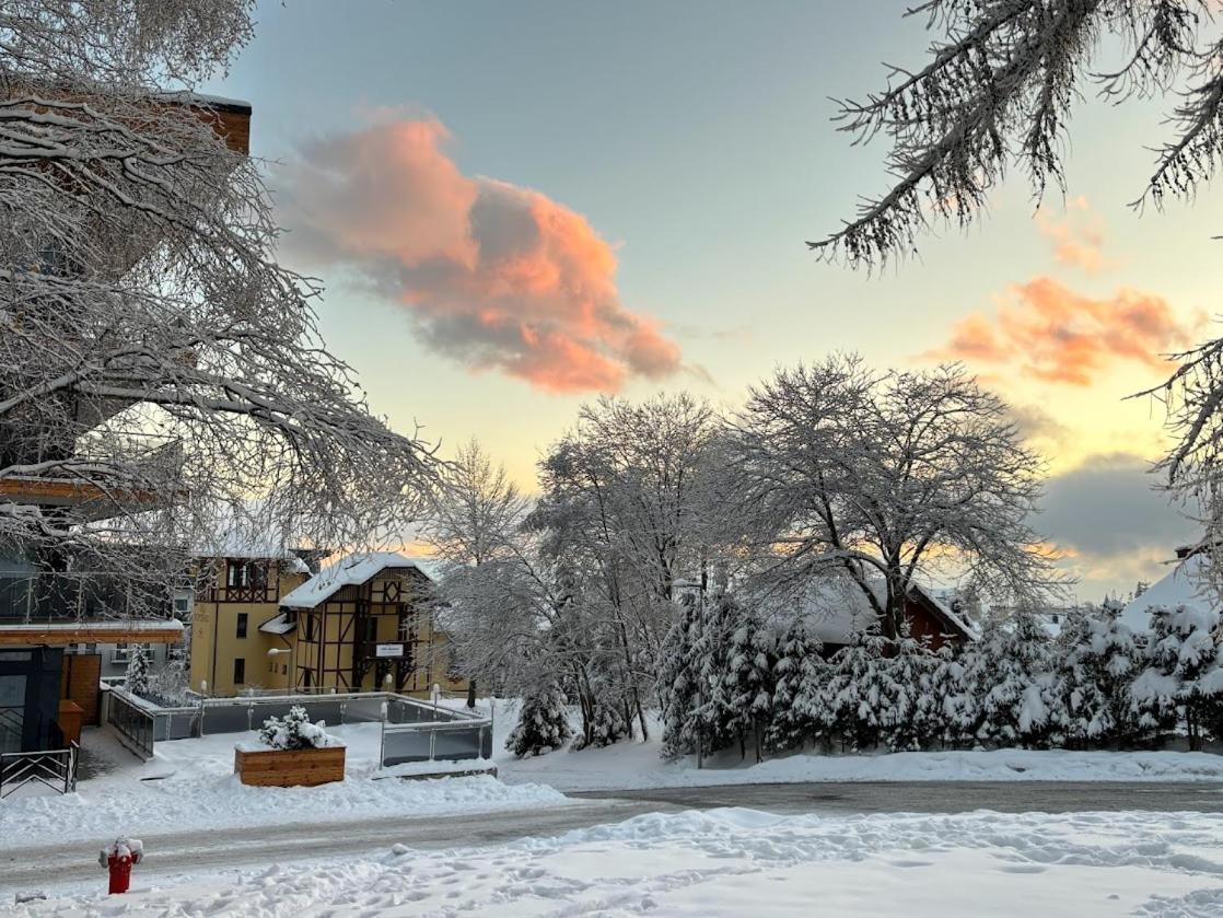 Studio A105 Stary Smokovec Hrebienok Vysoké Tatry Εξωτερικό φωτογραφία