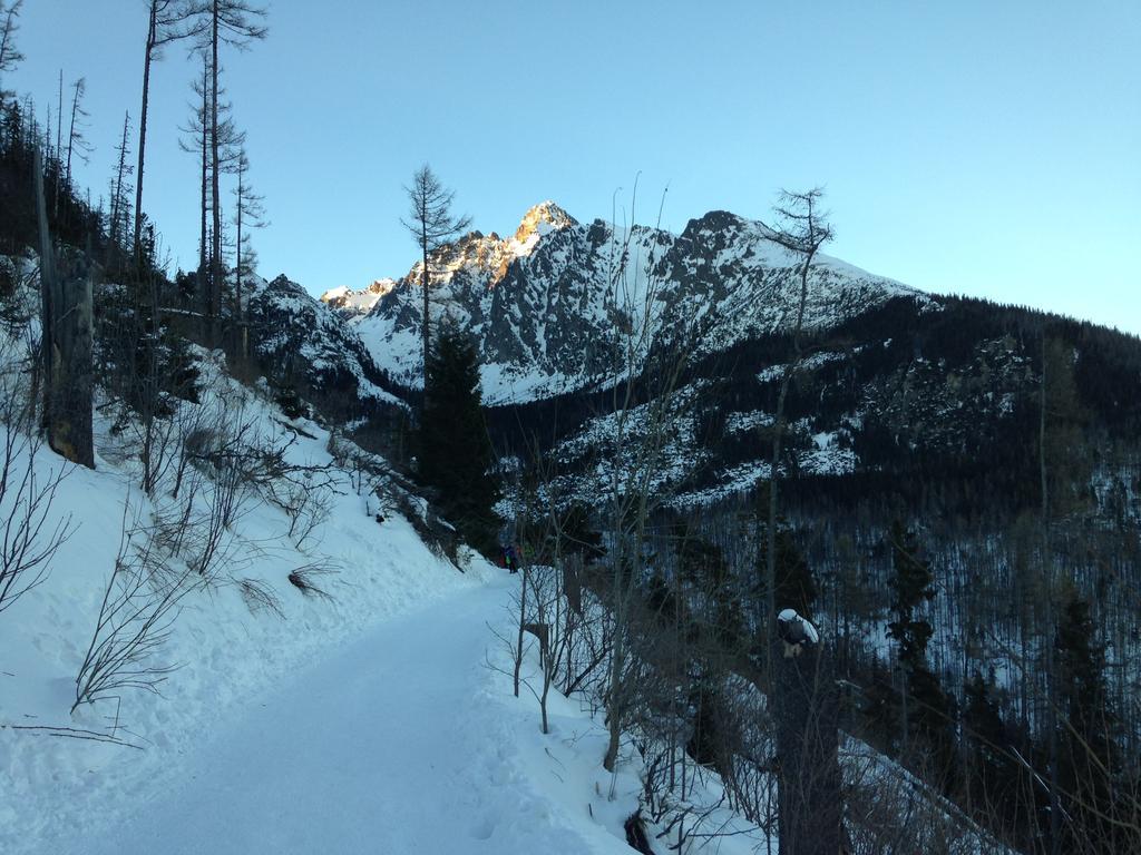 Studio A105 Stary Smokovec Hrebienok Vysoké Tatry Εξωτερικό φωτογραφία
