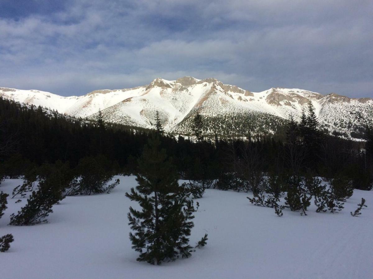 Studio A105 Stary Smokovec Hrebienok Vysoké Tatry Εξωτερικό φωτογραφία